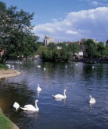 Windsor_River_Thames.jpg